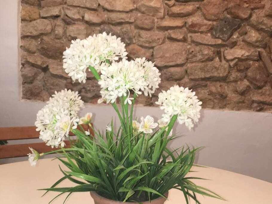 Apartament De La Susanna Old Town Mezzanine Tarragona Ngoại thất bức ảnh